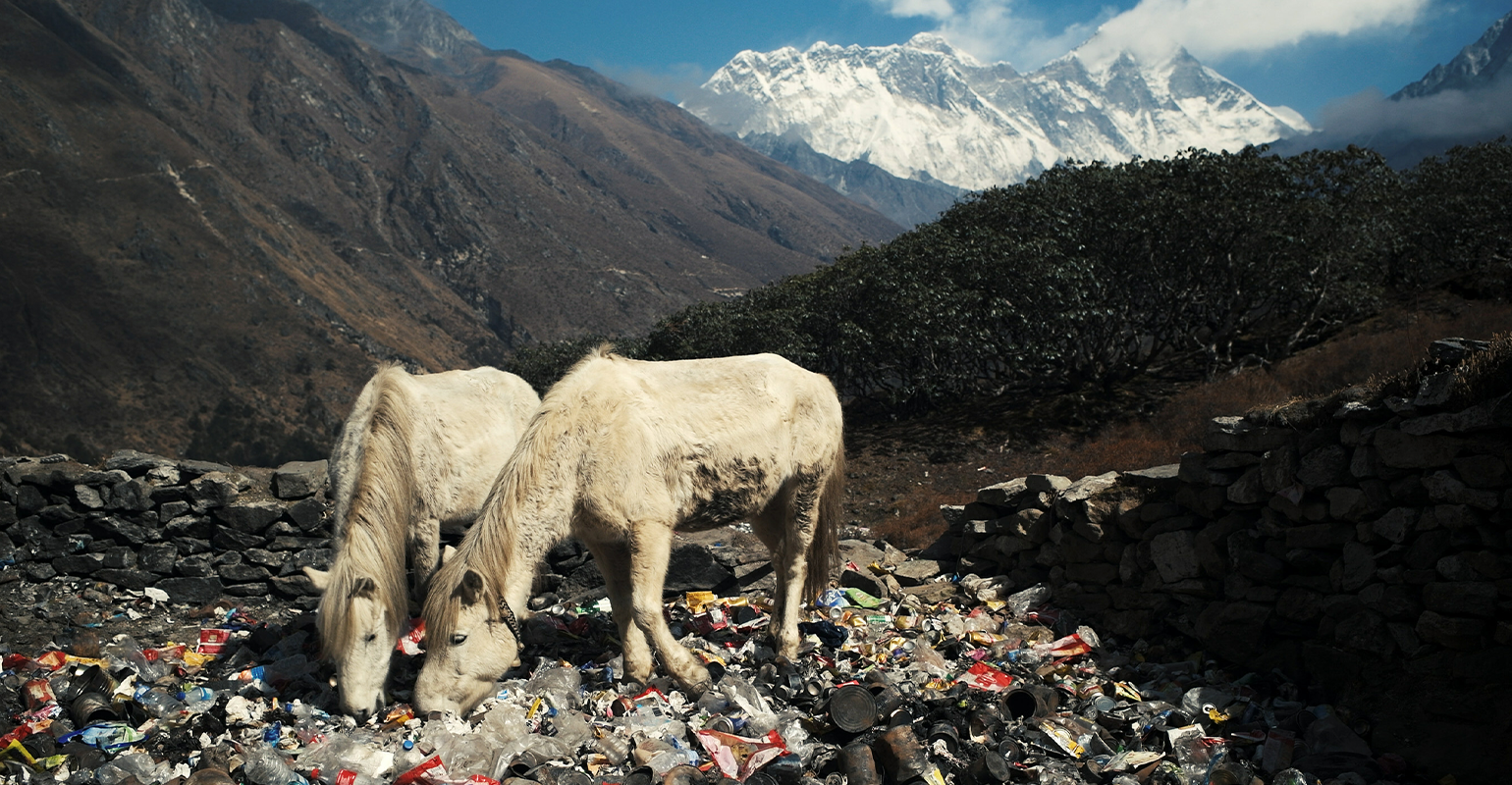 Sagarmatha Next Crowdsources To Remove Waste From Mount Everest   Mounteverestwaste 