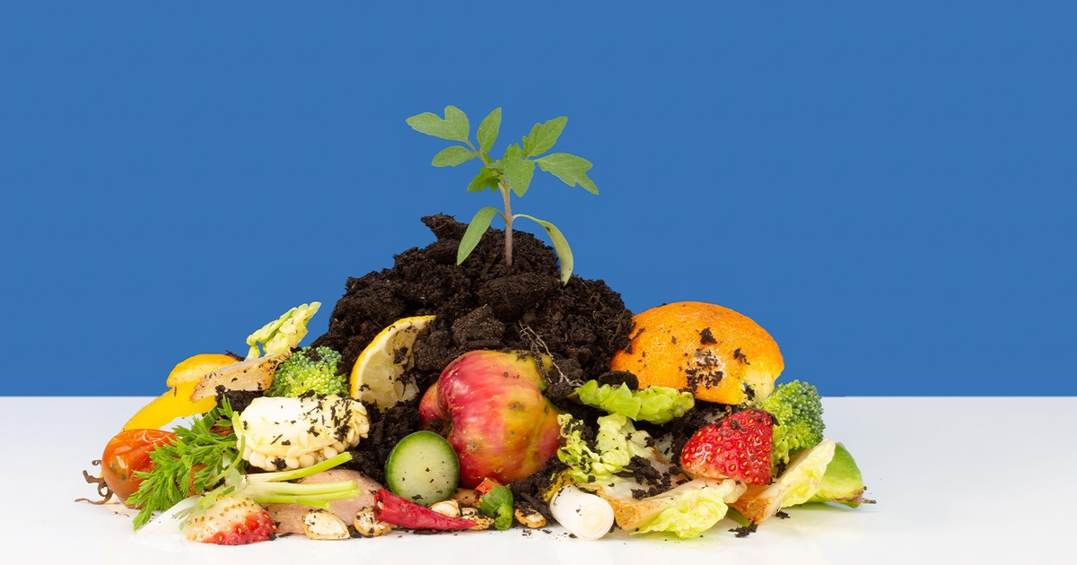 Atlanta, Local Businesses are Fighting Food Waste with Too Good To Go