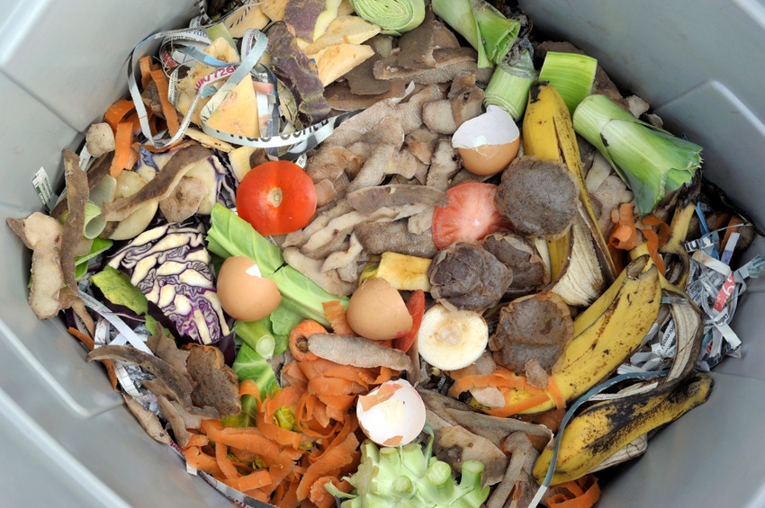 NYC Temporarily Halts Expansion of Organics Collection Program