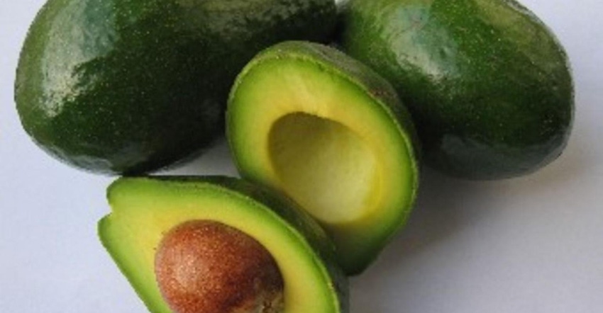 avocado_2_0.jpg