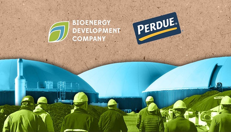 Bioenergy DevCo Enters into 20-year Partnership with Perdue Farms