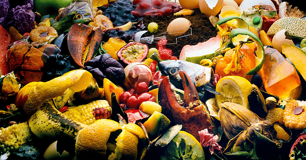 Multistakeholder Group Looks For Systemwide Answers To Food Waste Problems multistakeholder-group-looks-for-systemwide-answers-to-food-waste-problems