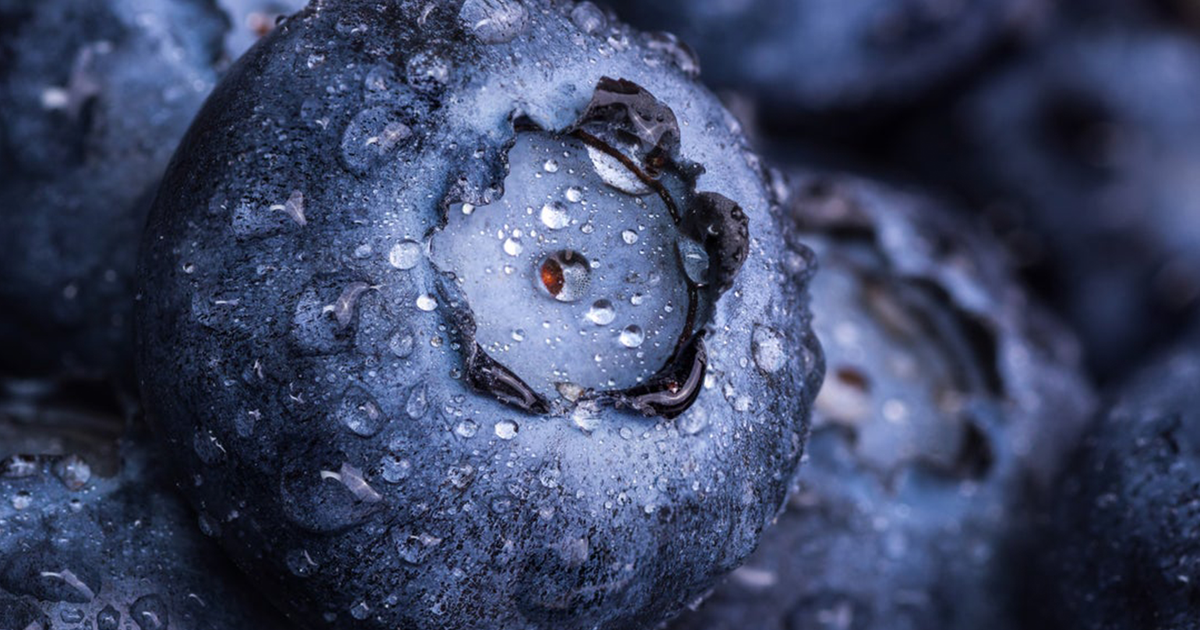 Aldi to Sell Homemade Blueberry Gin Made from Fruit Leftover