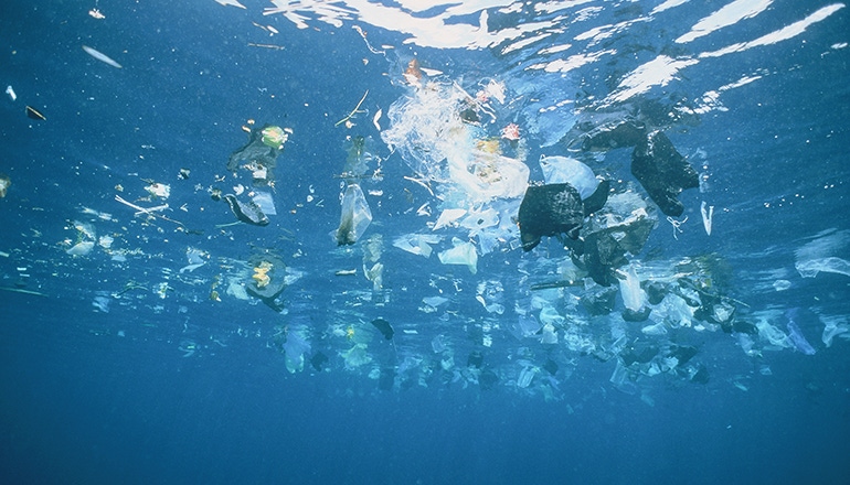 Oceana: Beverage Industry Could Cut Marine Plastic Pollution