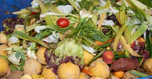 food waste 4 MR1540.jpg