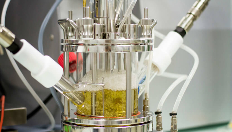Technology Aims to Bio-recycle Plastic on an Industrial Scale
