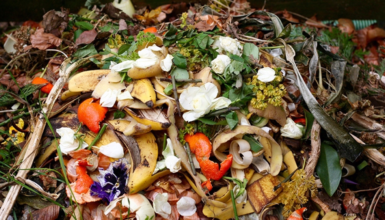 Food for All Launches Social Campaign to Help End Food Waste