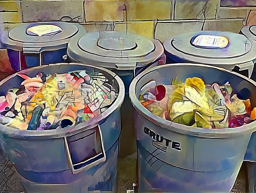 Minneapolis Residents are Recycling Less Organics Than Expected