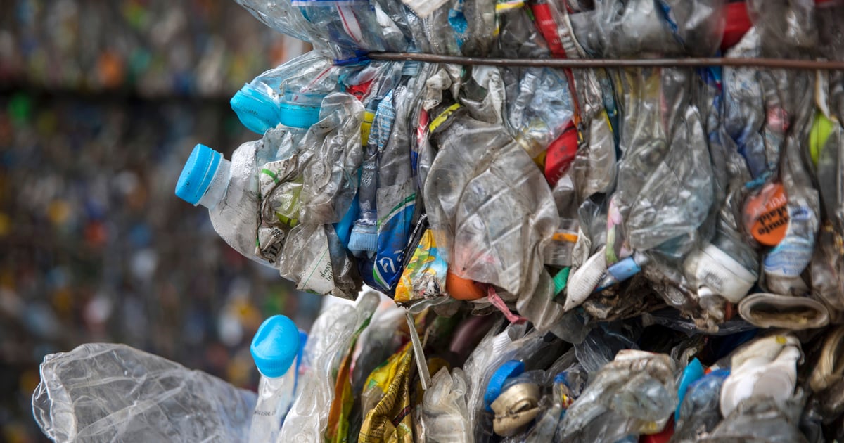 Ask the Expert: 8 Questions on MRF Contamination with Nathiel Egosi
