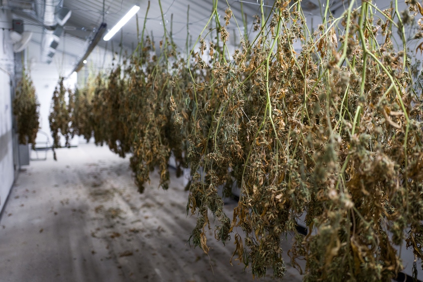How One California City is Managing Medical Marijuana’s Growing Waste Stream
