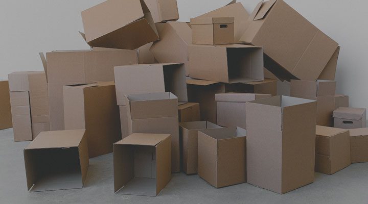 Raisin IE-Cardboard boxes
