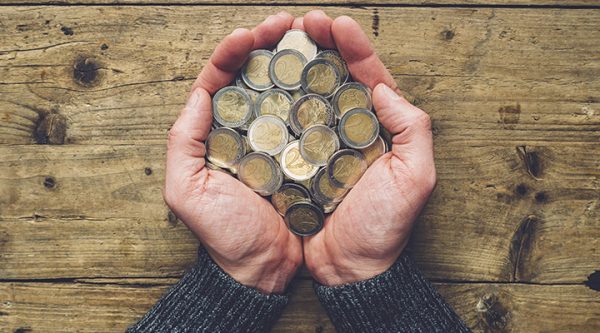 Raisin IE-Euro coins
