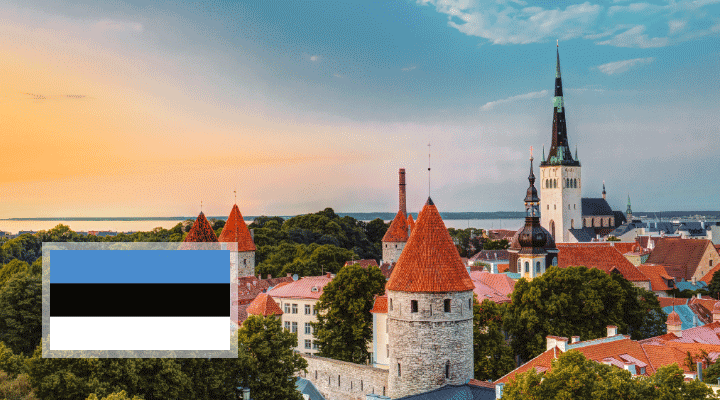 Raisin NL-Stadsgezicht met Estische vlag