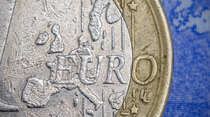 Raisin NL - Close-up van 1 euro munt