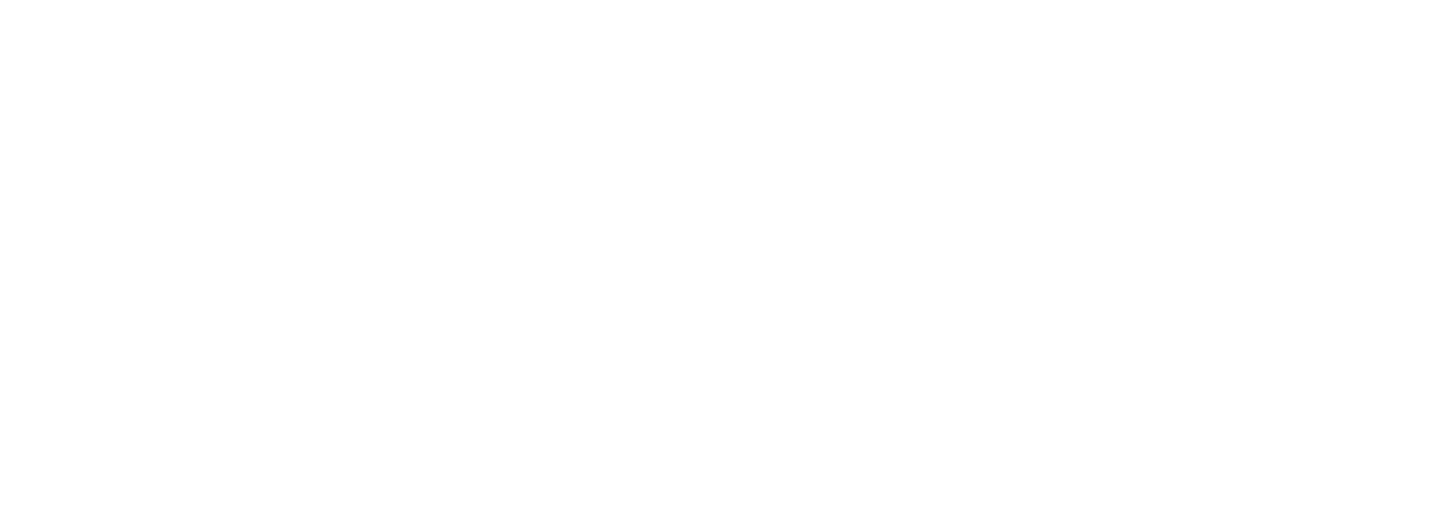 FinWise-Raisin-Logo-White (2).png