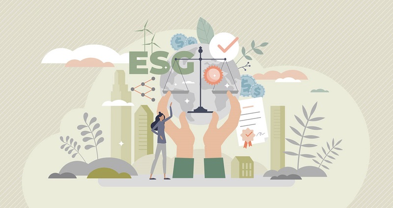 800w-sustainable-investing-guide.jpg