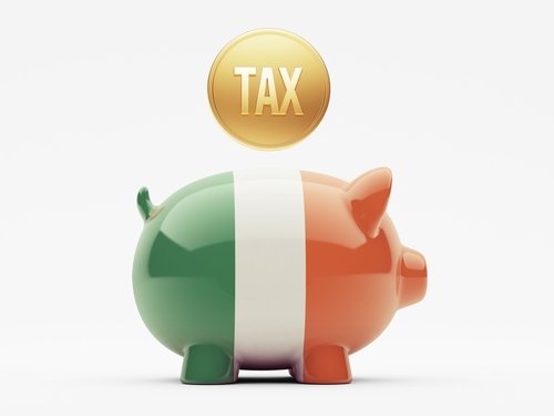 raisin_ie_tax_return_ireland.jpg