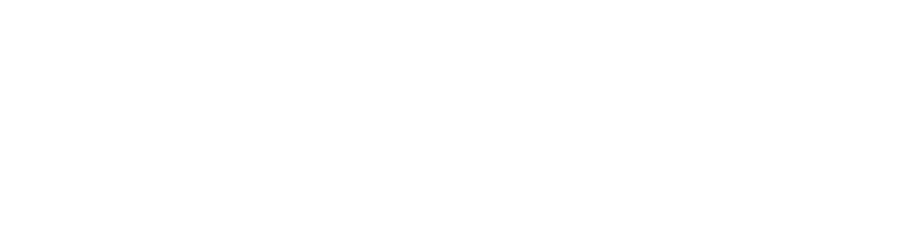 wallkill-valley-logo-white.png