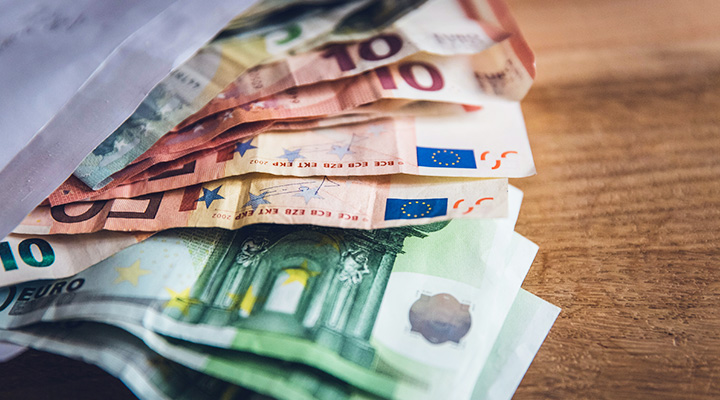 Raisin DE-Euro Noten
