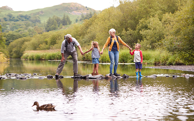 about-Lemmata Savings Bank.png