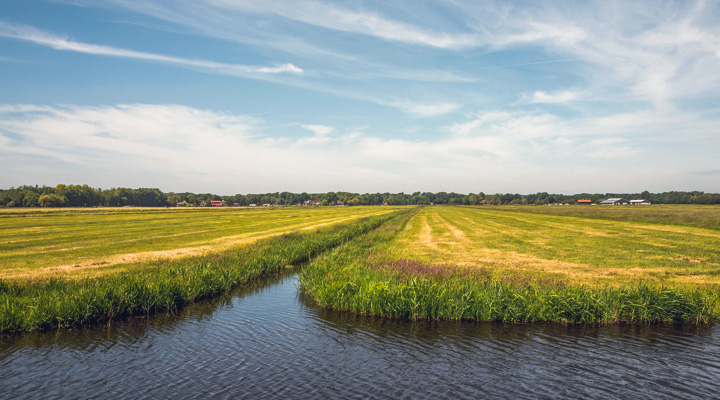 Raisin UK-Open rural field with water channel
