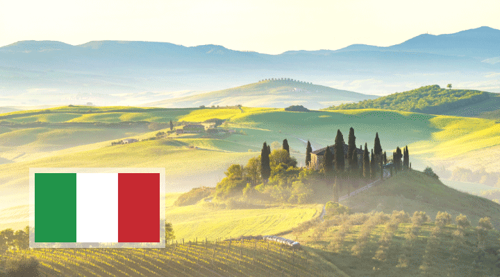 Raisin NL-Paesaggio toscano con cipressi in primo piano