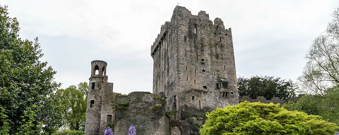 Blarney-castle-in-cork-ireland.webp