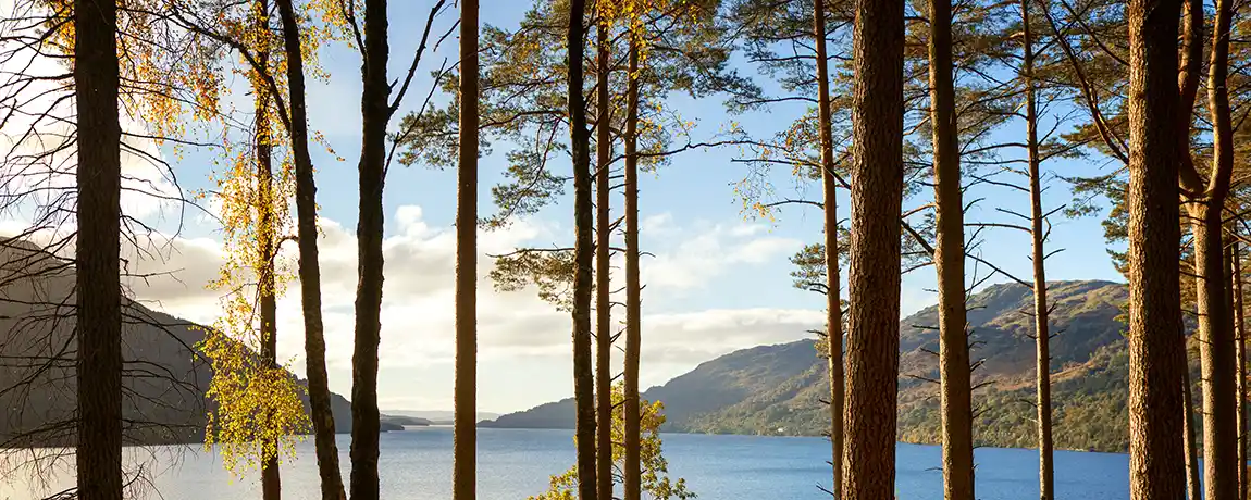 loch-lomond-in-autumn-glasgow-scotland.webp