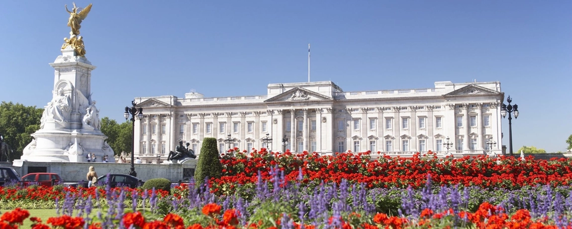 tulips-outside-buckingham-palace-london.webp