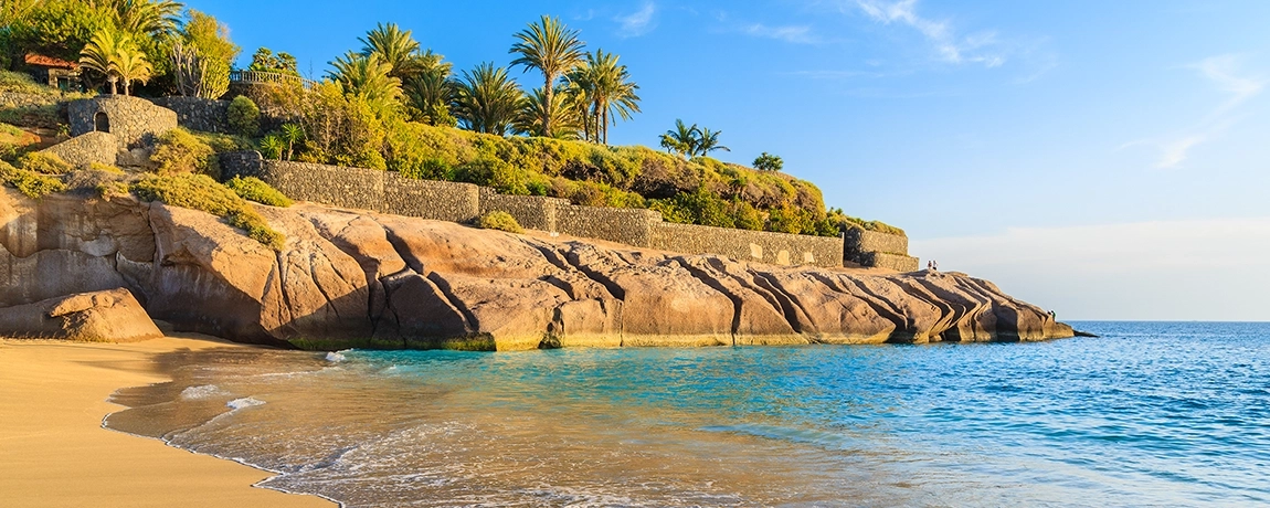 beach and palm trees tenerife canary islands spain
