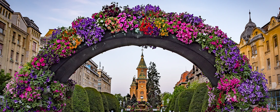 Flower-wall-timisoara-romania