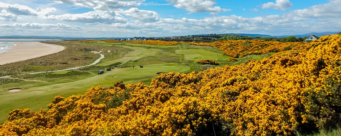 Inverness-1150-260126.webp