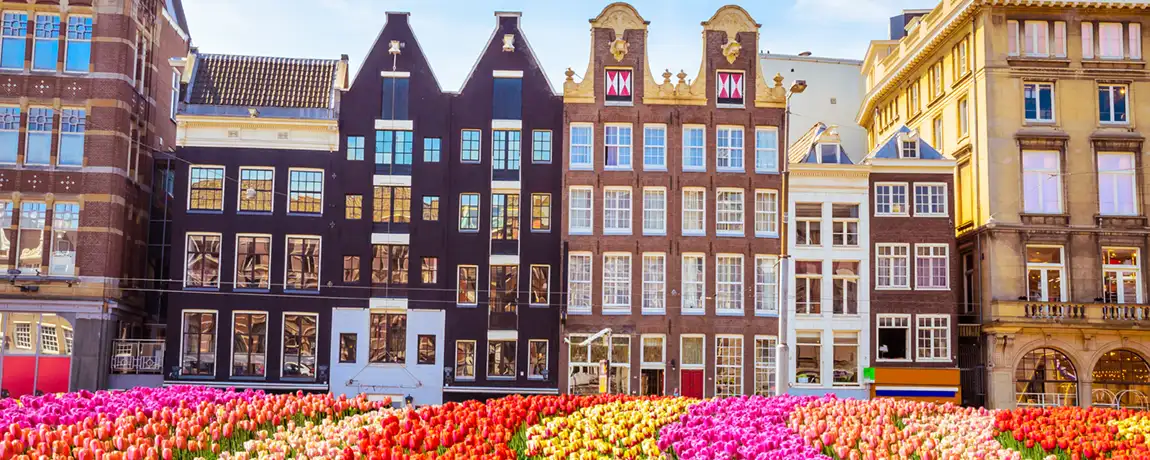 tulips-and-colourful-bulidings-city-break-in-amsterdam.webp