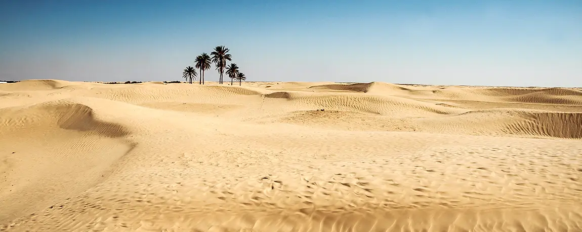 A sandy landscape in Douz, Tunisia on the edge of the Sahara Desert