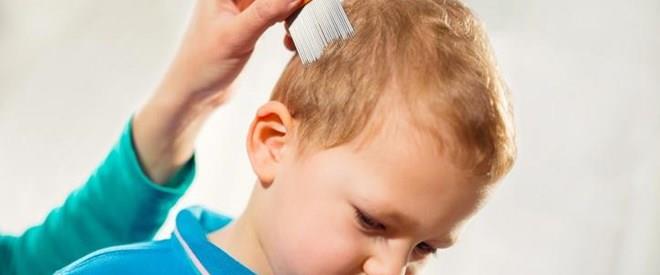 Como eliminar los piojos definitivamente