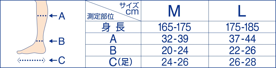■メディキュット　サイズ表（男性向け製品 M/Lの場合）