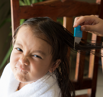 Cómo eliminar los piojos