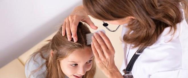 Que enfermedades transmiten los piojos