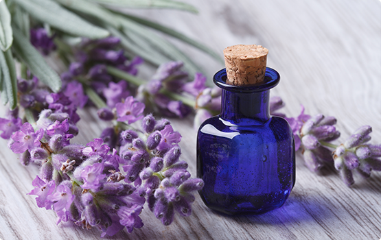 Fiori di lavanda e boccetta di profumo
