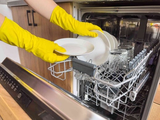 Get Rid of Mold In Dishwasher Effortlessly