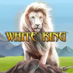 white-kingWhiteKing_x-SingleTile-1000x1000.jpg