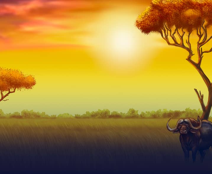 Safari Heat