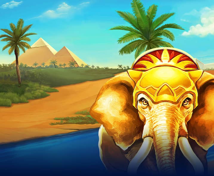 Elephant Riches
