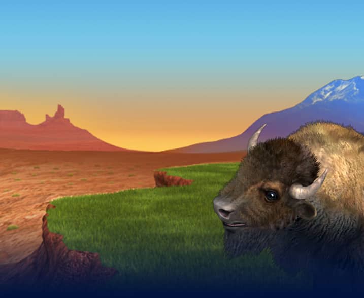 Buffalo Bingo