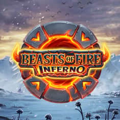 EC-21779_WH_Beasts-of-Fire-Inferno_release_functional-LiveCasino_Single_tile_LO_1000x1000px.jpg