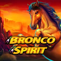 Bronco Spirit
