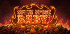 EC-15241_WH_Spice-Spice-Baby_functional-lo_456x222px.jpg