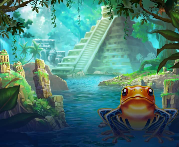 Frogs Gift