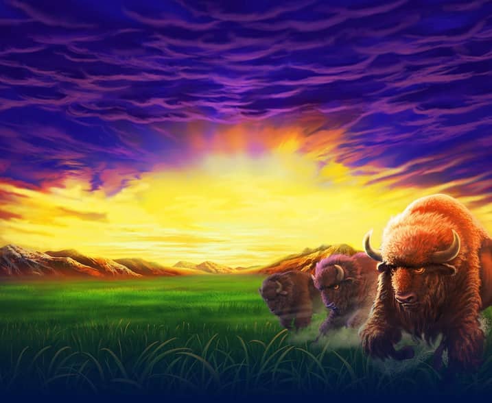 Buffalo Blitz II