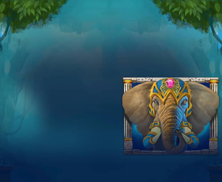Jungle Giants